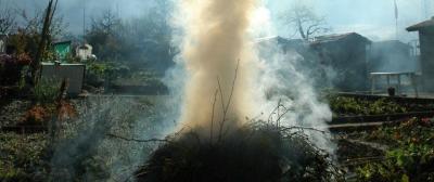 What's wrong with bonfires?
