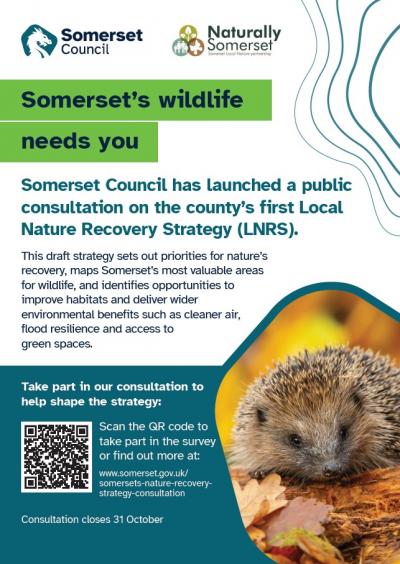 Poster with QR code for nature consultation